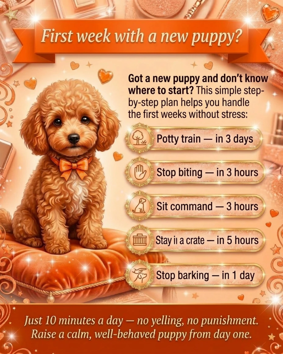 Reactive Dogs Club Facebook ad