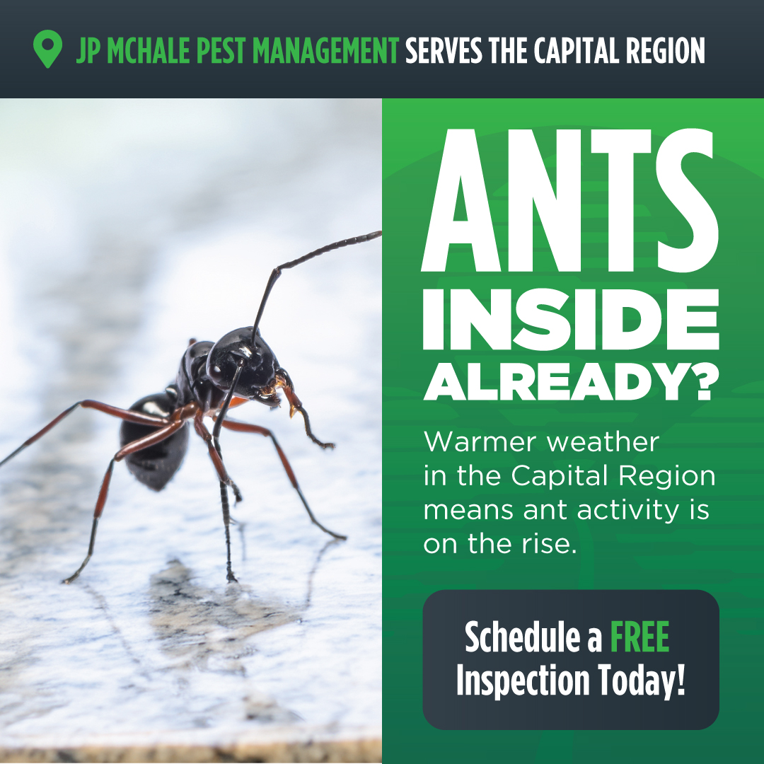 JP McHale Pest Management LLC. Facebook ad