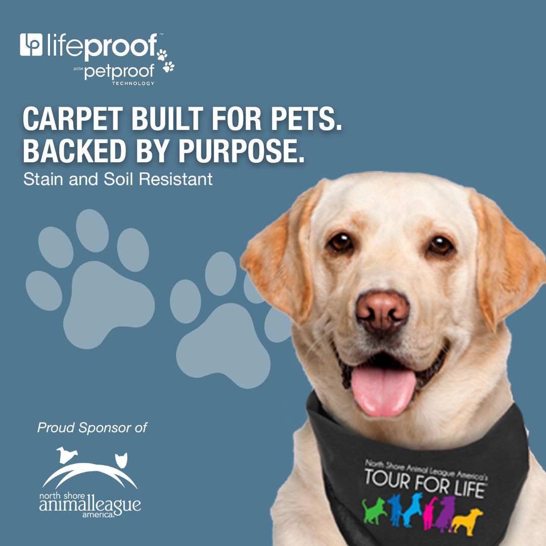 The Home Depot Facebook ad