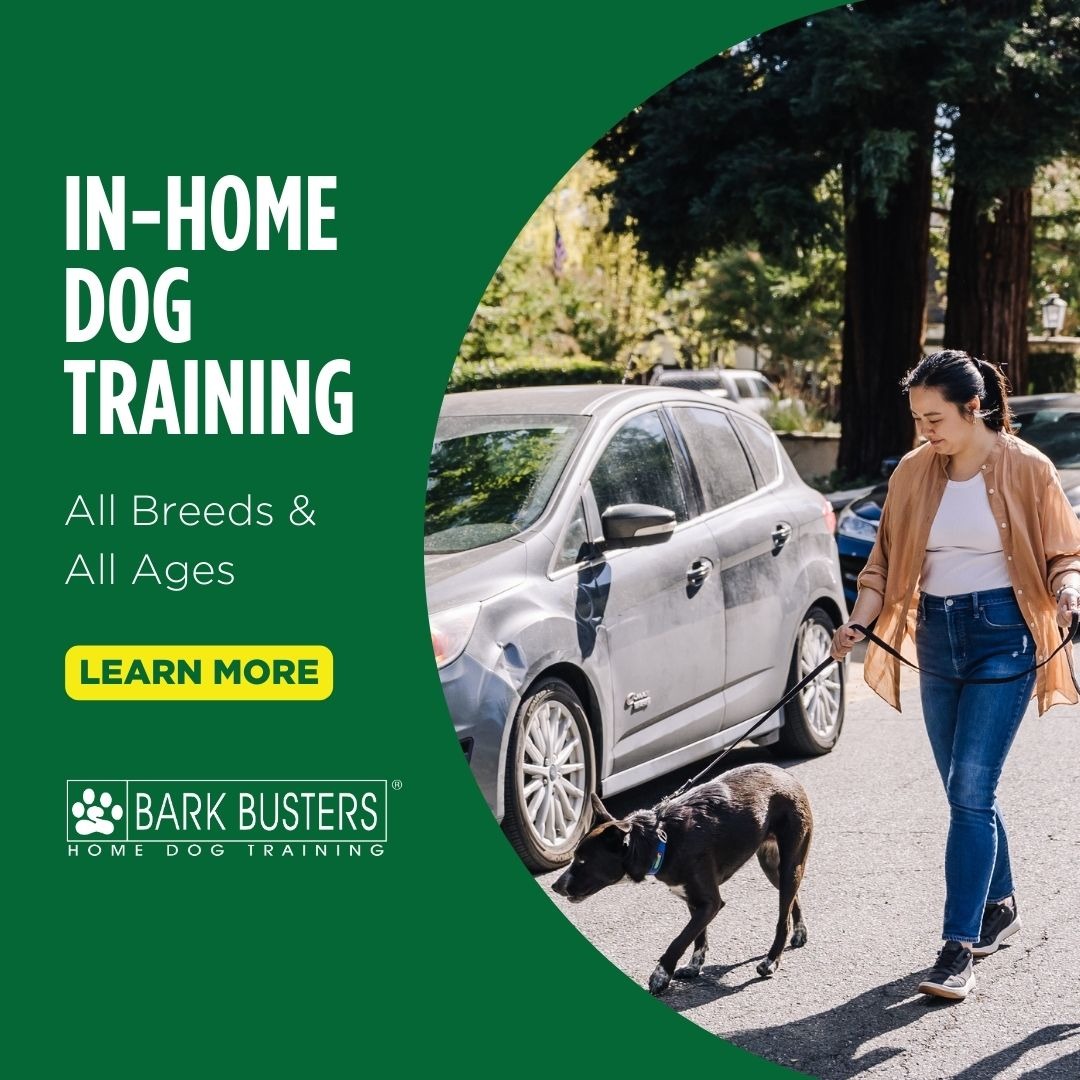 Bark Busters of Greater Annapolis & Chesapeake Bay Region Facebook ad from Mar 17, 2025
