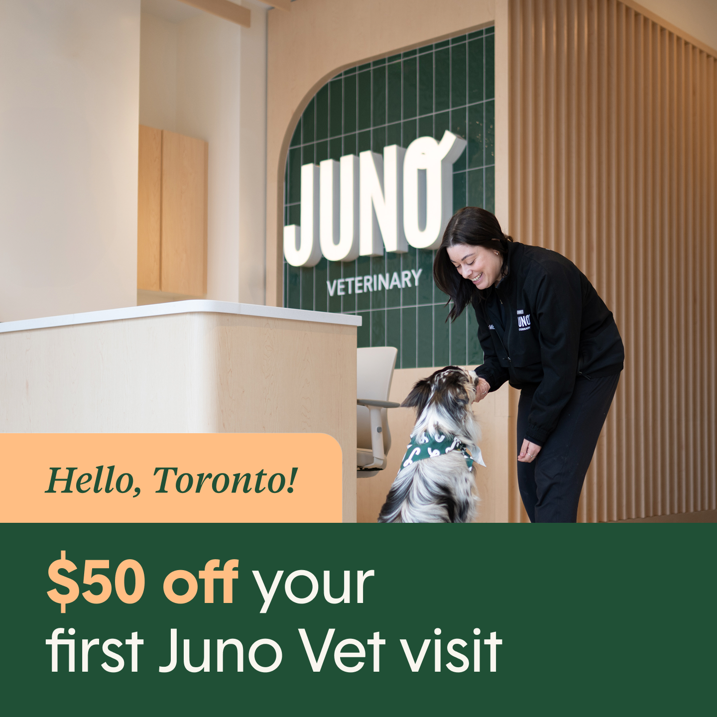 Juno Veterinary Facebook ad