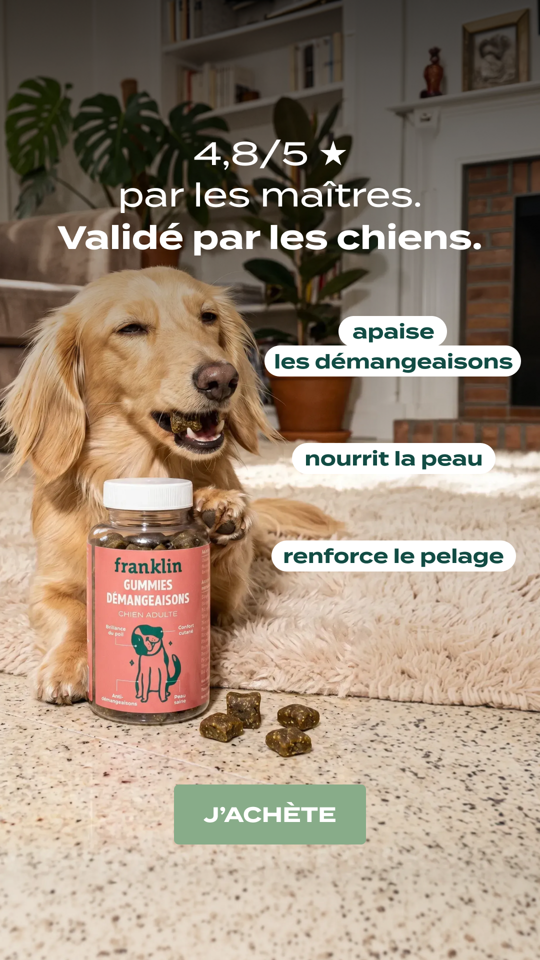 Franklin Pet Food Facebook ad