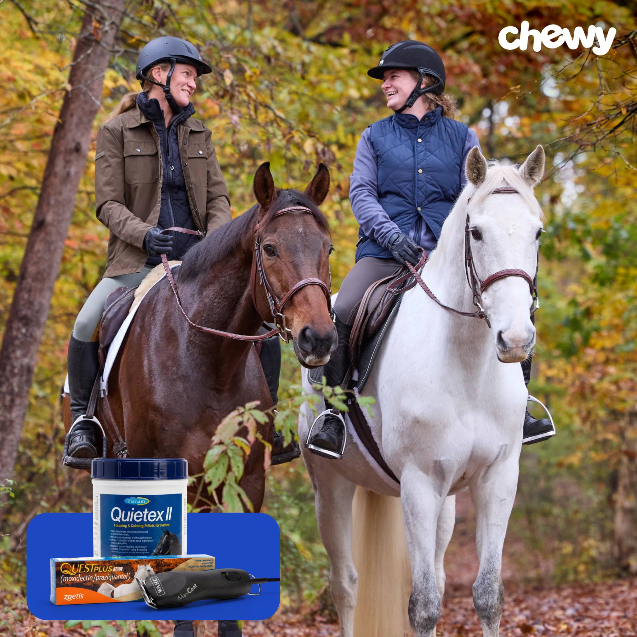 Chewy Facebook ad: Fall horse care