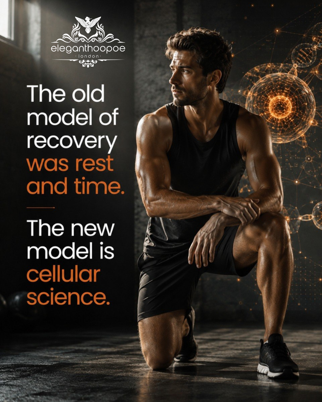 Elegant Hoopoe Dubai Facebook ad: Recovery is more than rest.