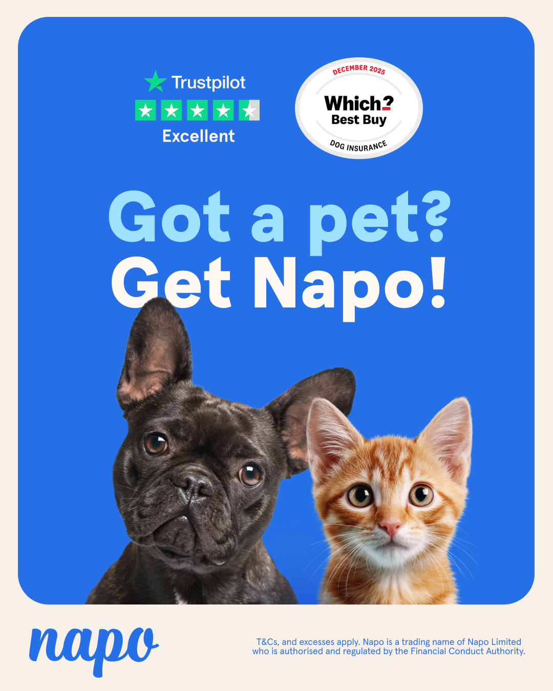 Napo Pet Insurance Facebook ad