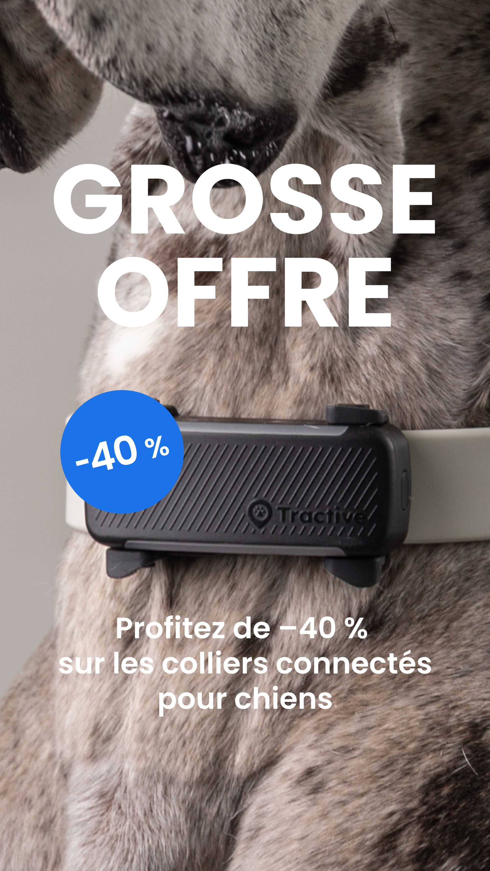 Tractive Facebook ad