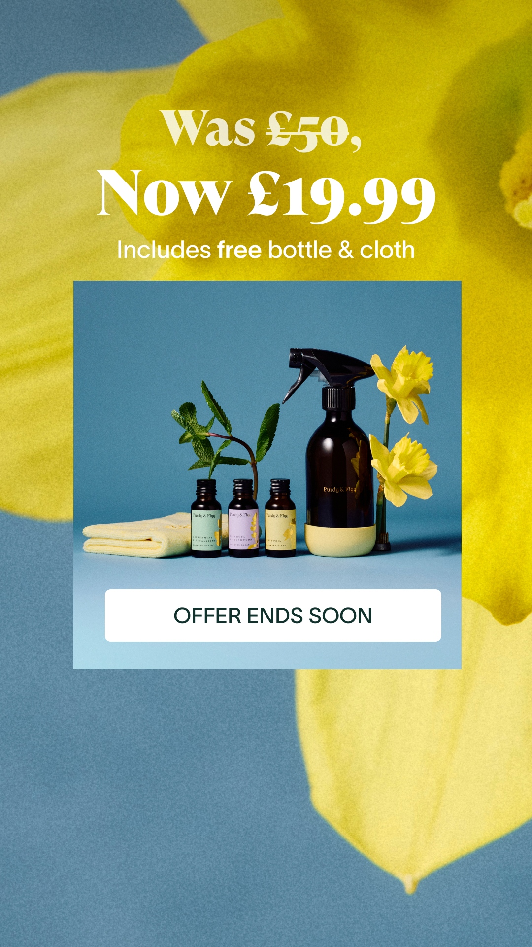 Purdy & Figg Facebook ad