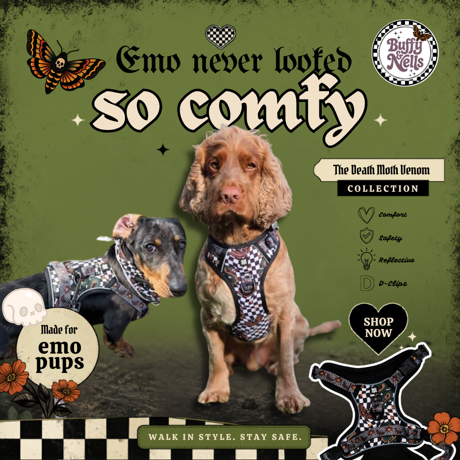 Buffy and Nells Facebook ad: Alt dogwear for dogs with attitude.