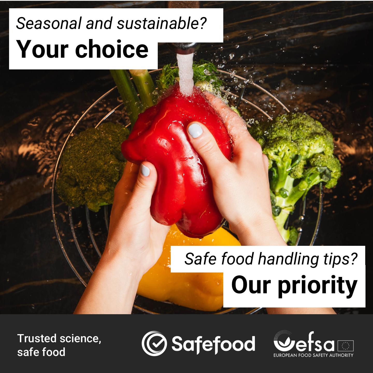 One Health One Environment EU Facebook ad: Proper food handling