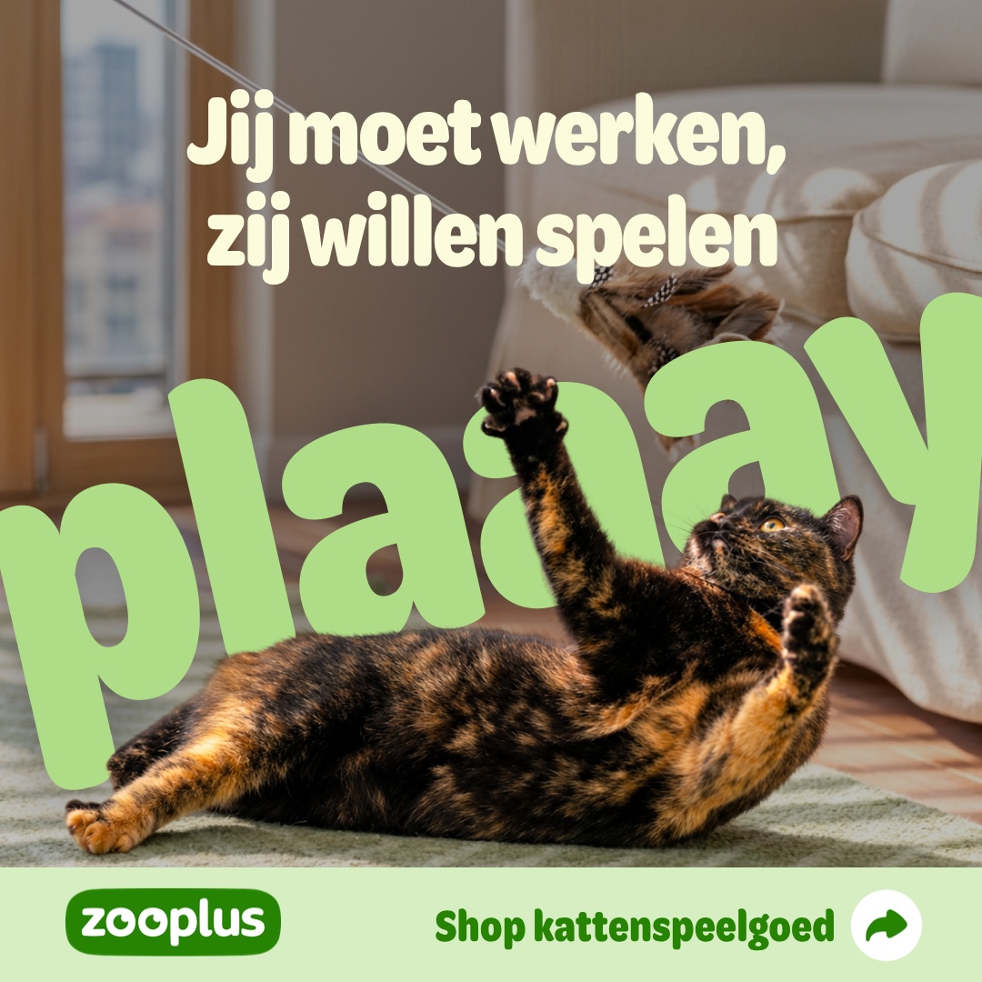 zooplus Facebook ad: Kattenspeelgoed Selecteer uit 555 producten.