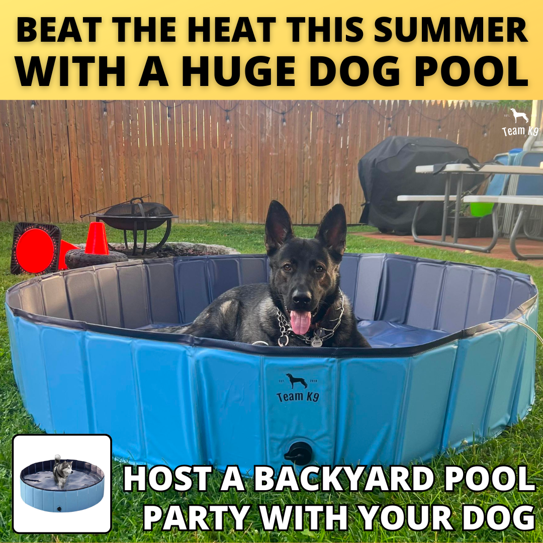 Team K9 Facebook ad