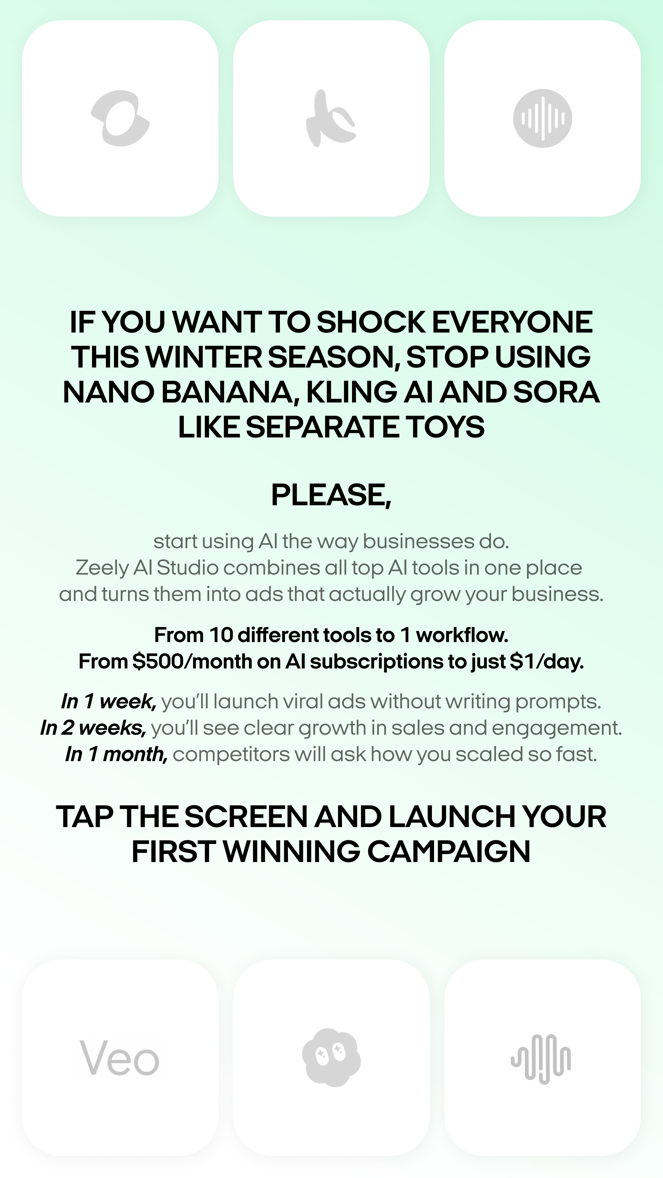 Zeely Facebook ad