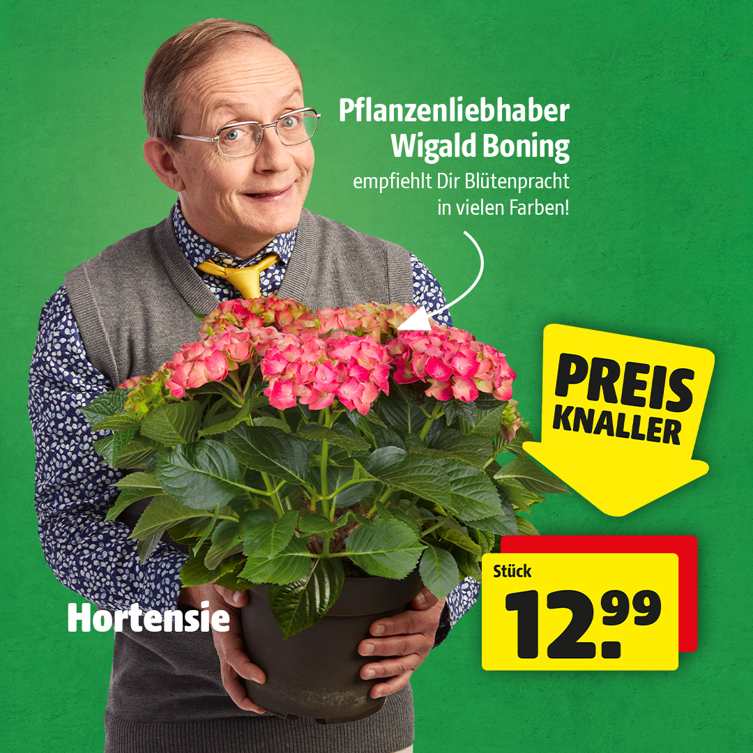 hagebau Facebook ad: Spare jetzt mit den aktuellen Angeboten im hagebaumarkt…