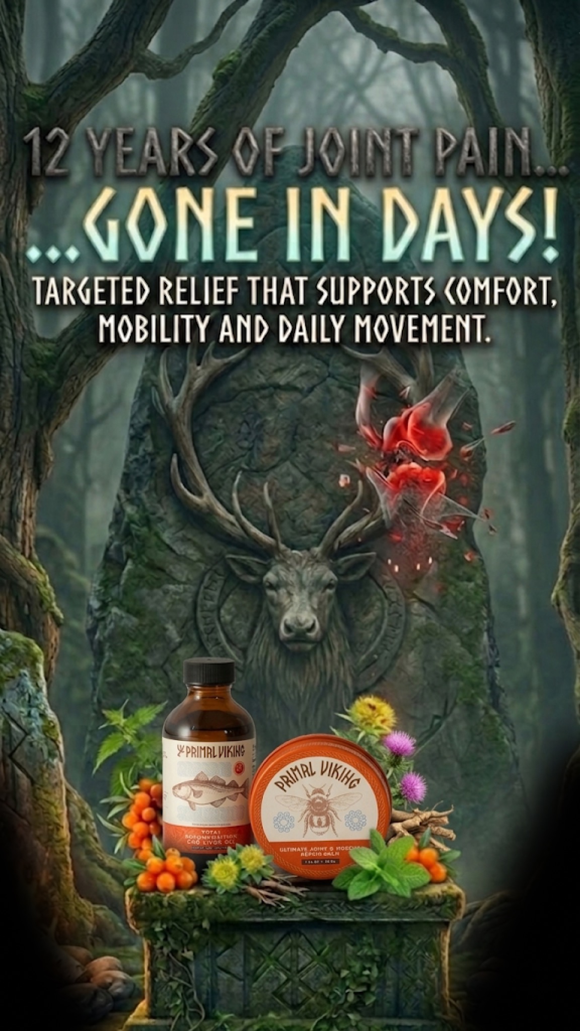 Primal Viking Facebook ad