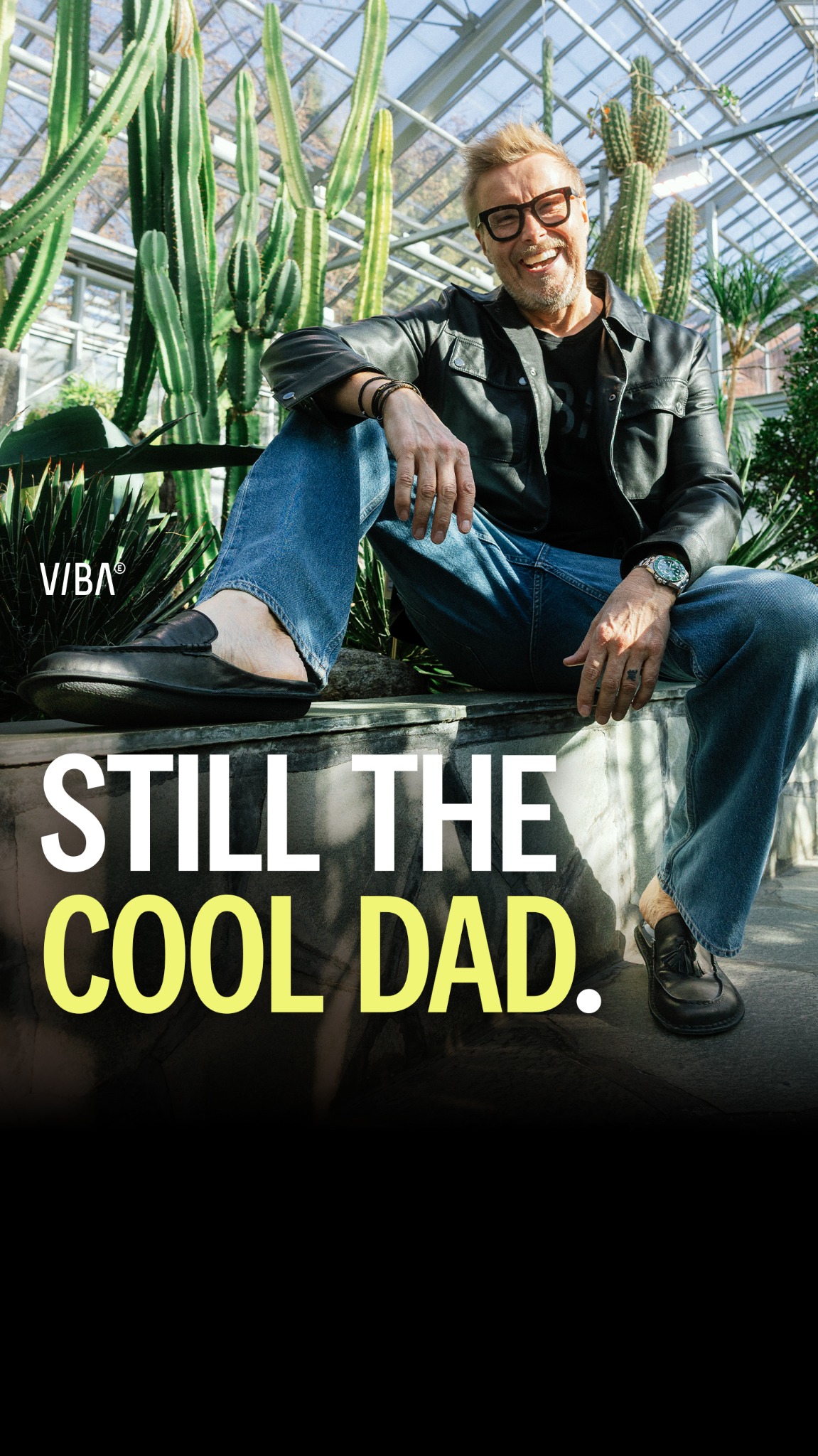VIBAe Facebook ad