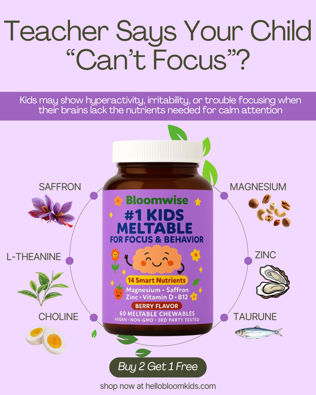 Hellobloomkids Facebook ad