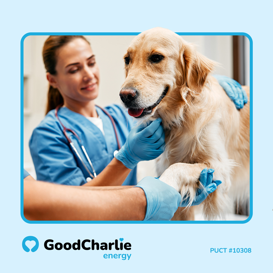GoodCharlie Energy Facebook ad from Jun 1, 2026