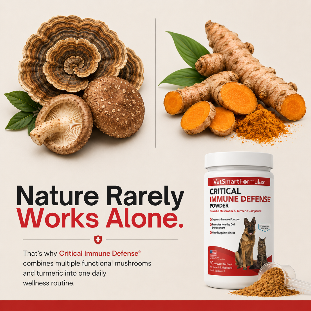 Pet Wellness Direct Facebook ad