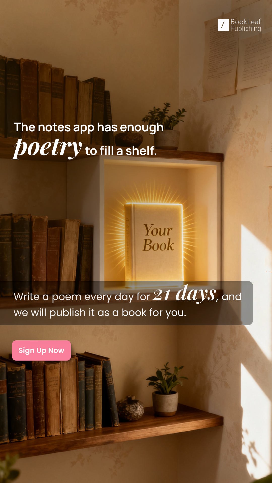 BookLeaf Publishing Facebook ad