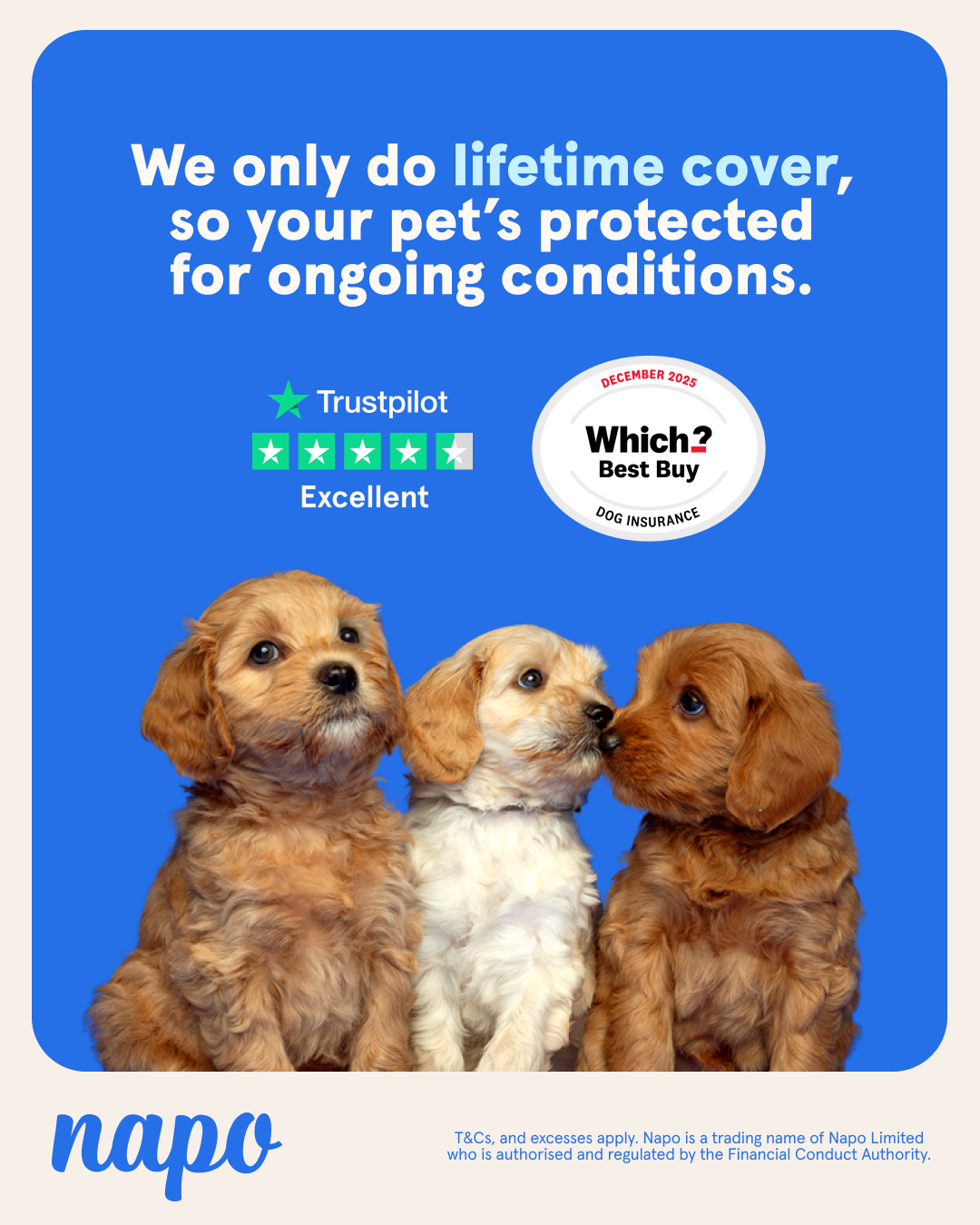 Napo Pet Insurance Facebook ad