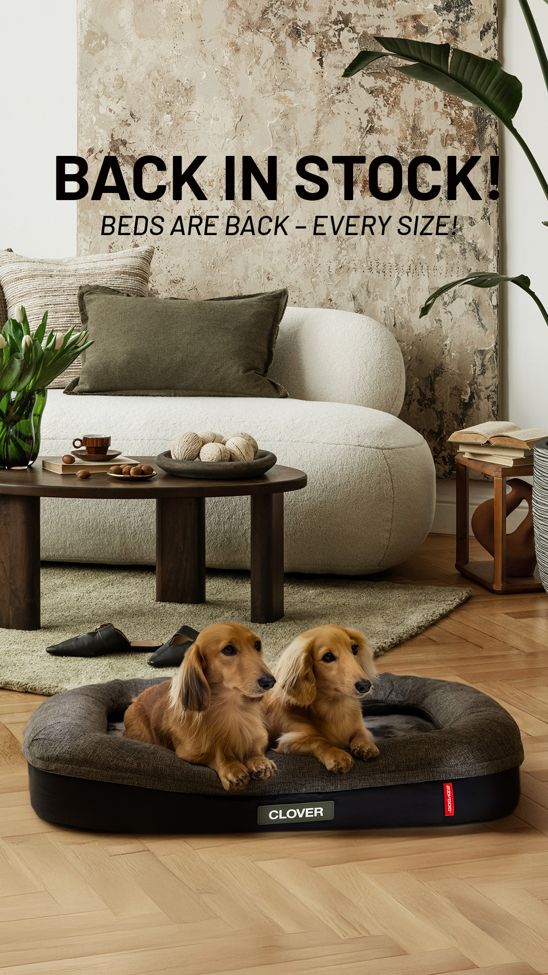 EzyDog Facebook ad
