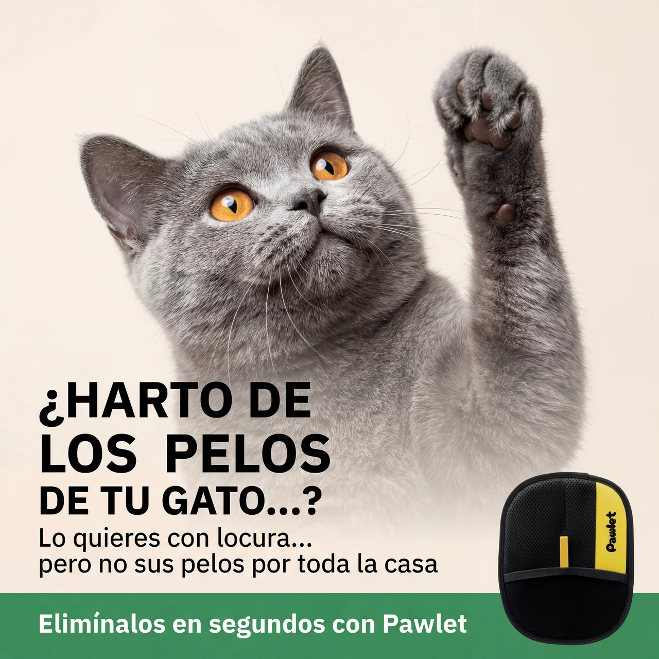 Pawlet Facebook ad