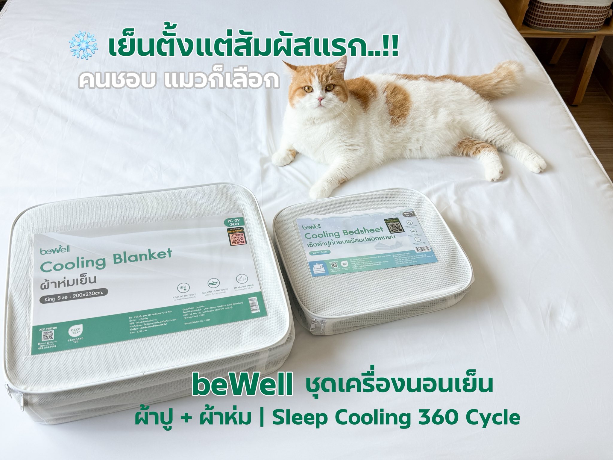 ผมชอบแต่งบ้าน Facebook ad: บ้านเลี้ยงแมว ขนปลิวตลอด แถมเป็นคนขี้ร้อน