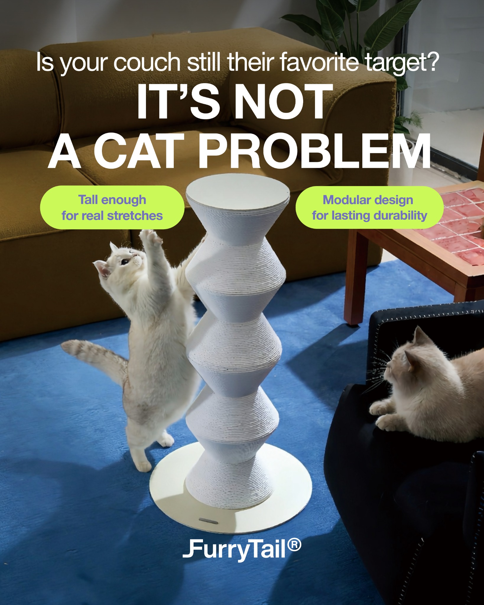 Furrytail_us Facebook ad