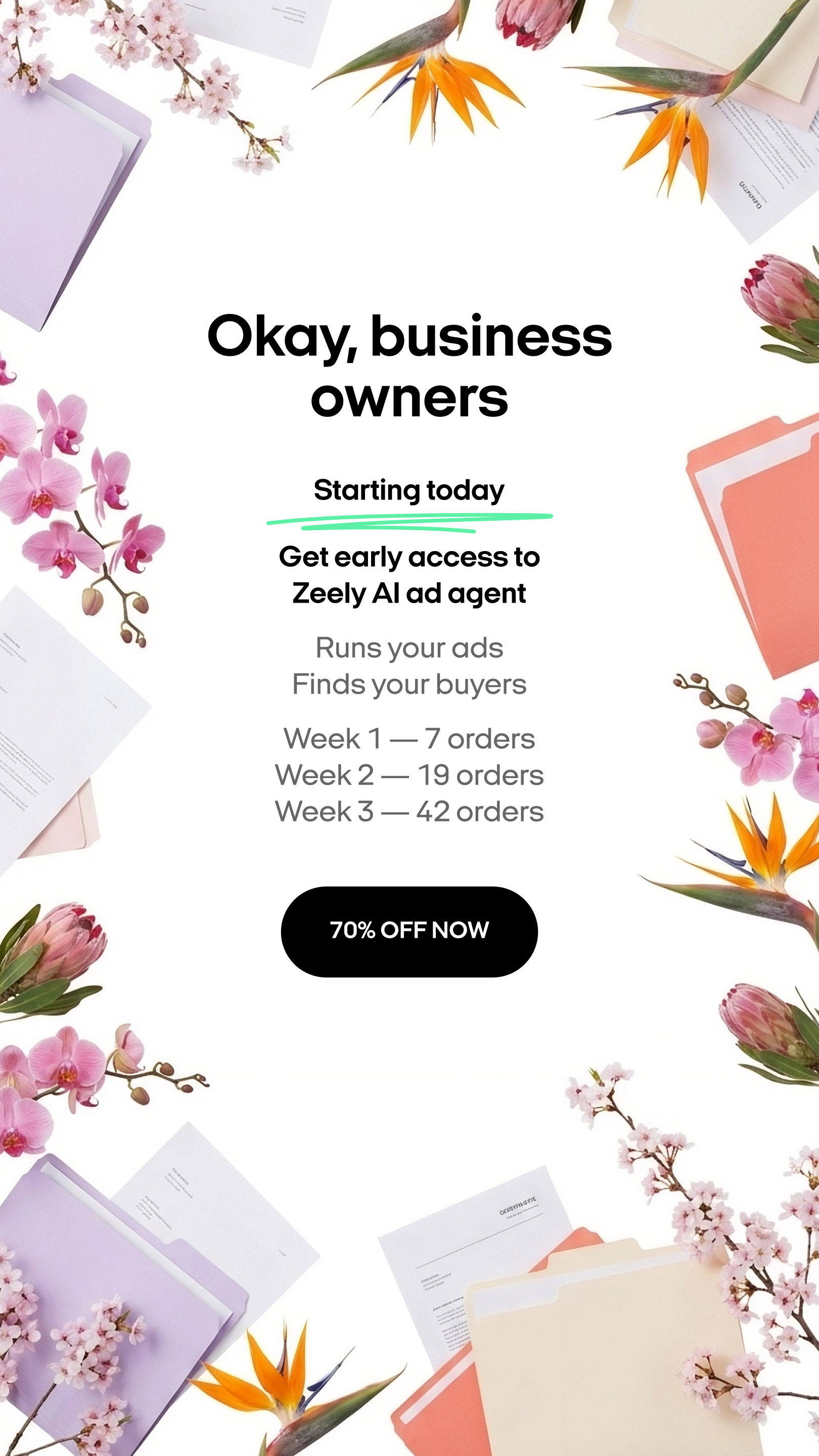 Zeely Facebook ad