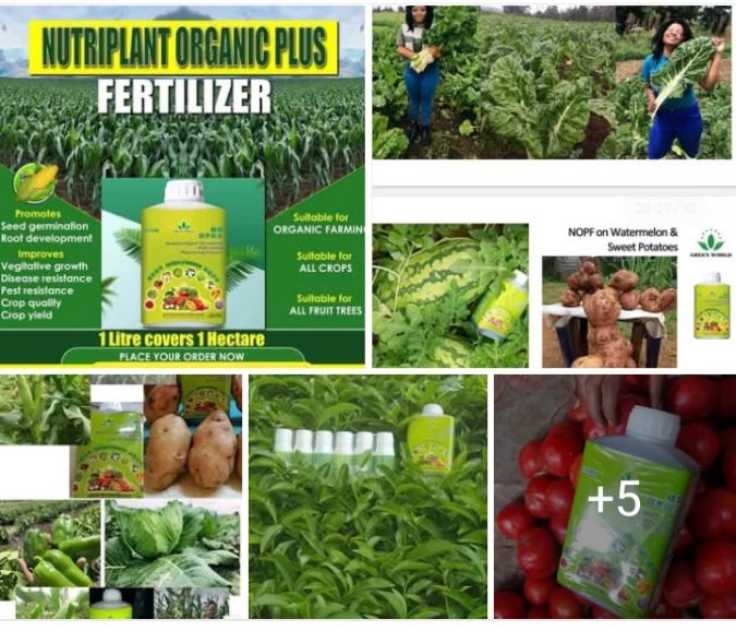 Green World with Belinda Facebook ad: Boost Your Harvest With Green World’s Nutriplant Organic…