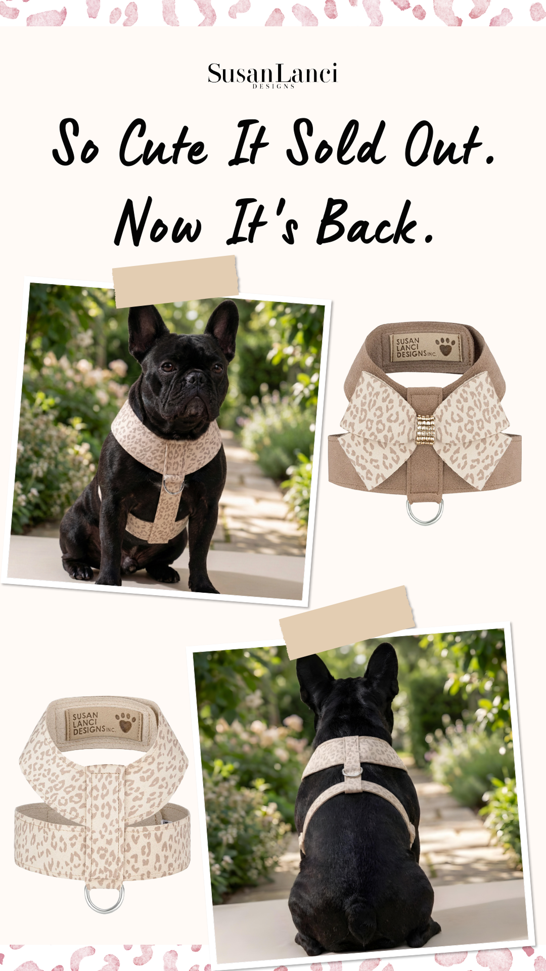 Susan Lanci Designs Inc. Facebook ad