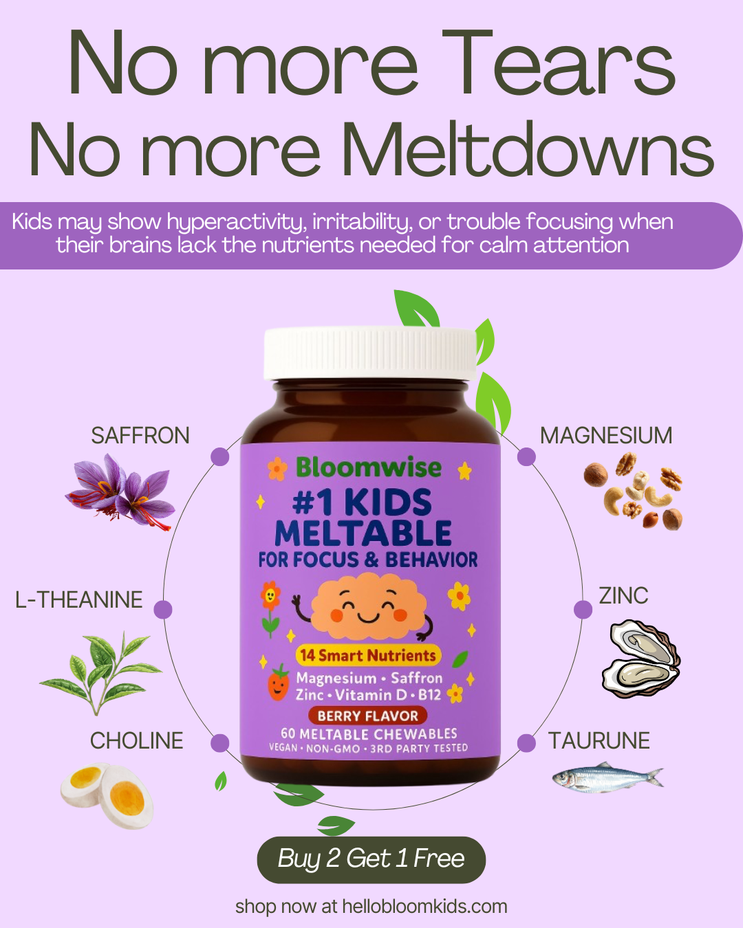 Hellobloomkids Facebook ad