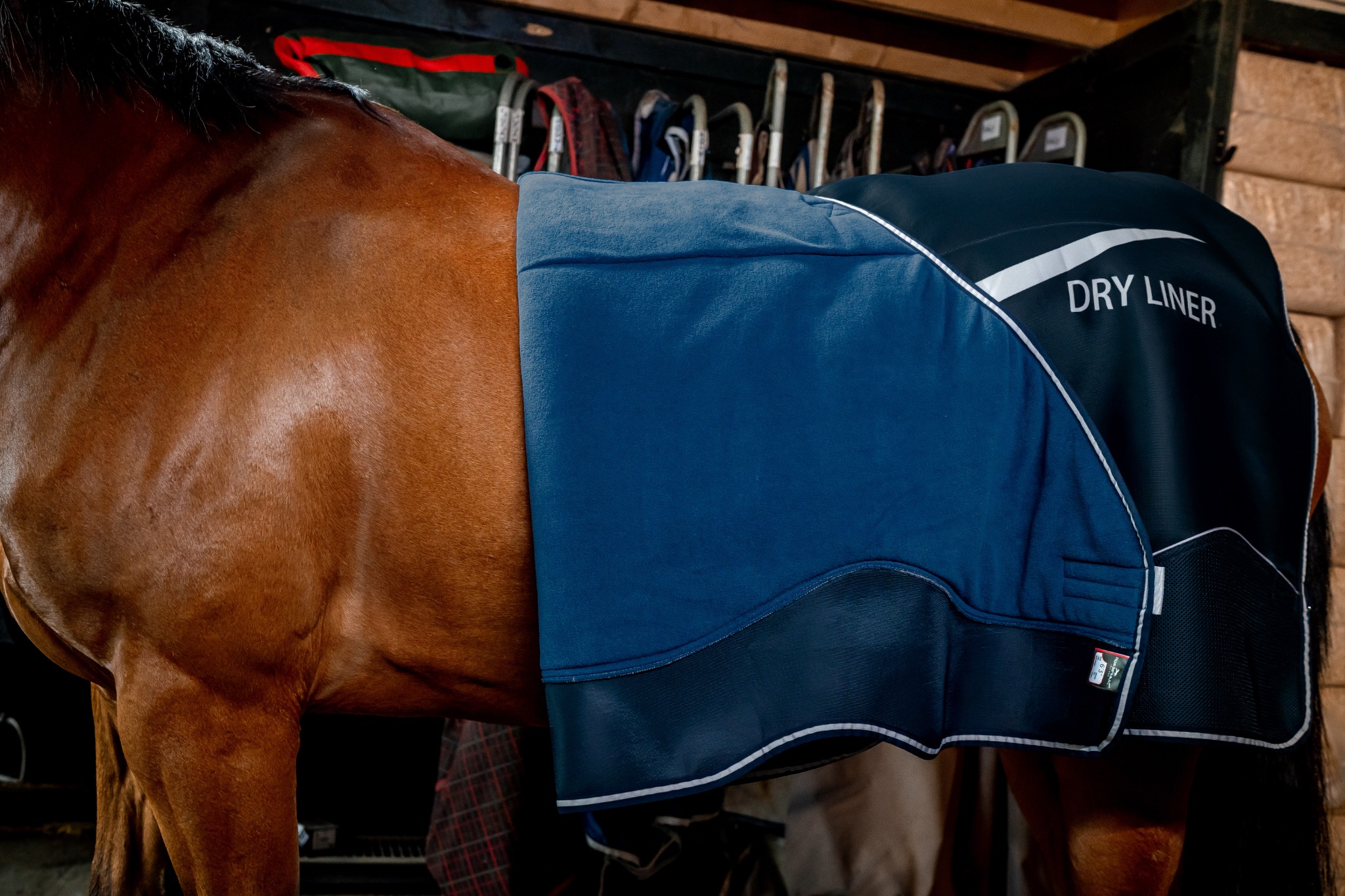 Horseware Australia Facebook ad: Winter in Australia is unpredictable.