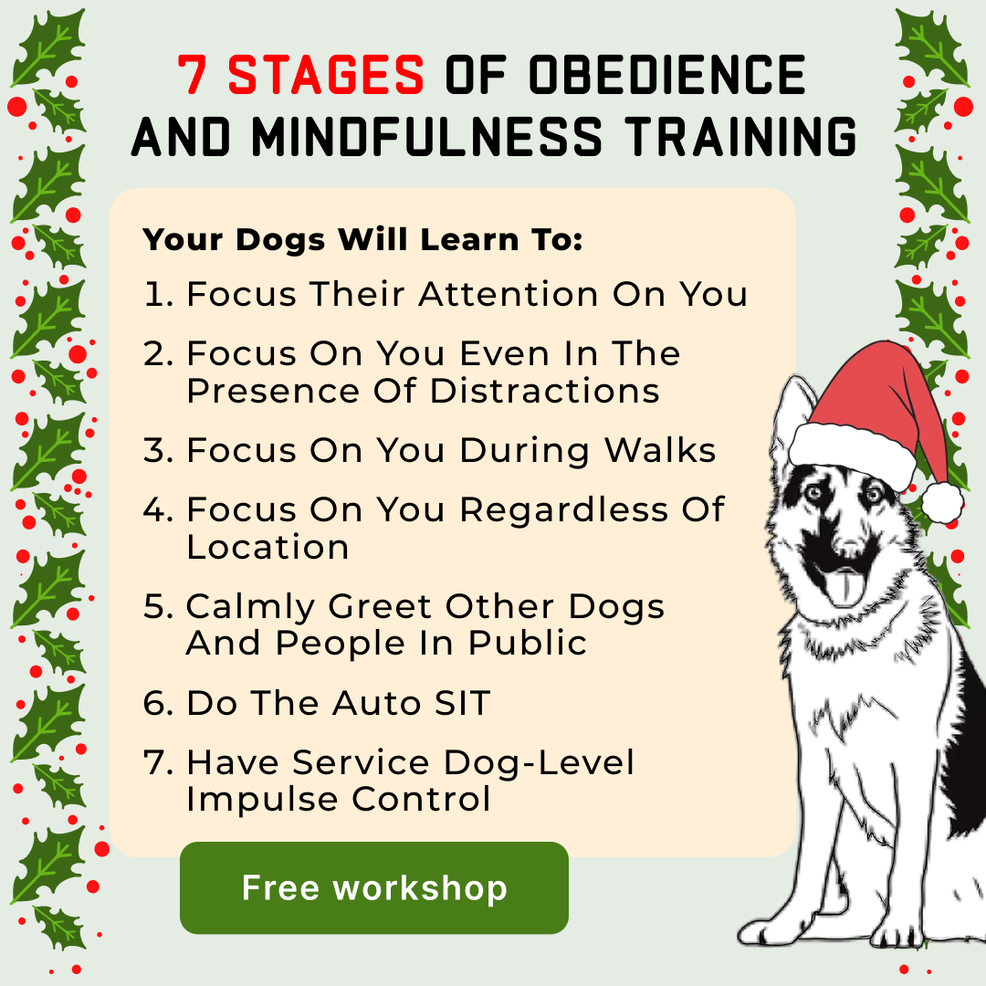 K9 Training Institute Facebook ad