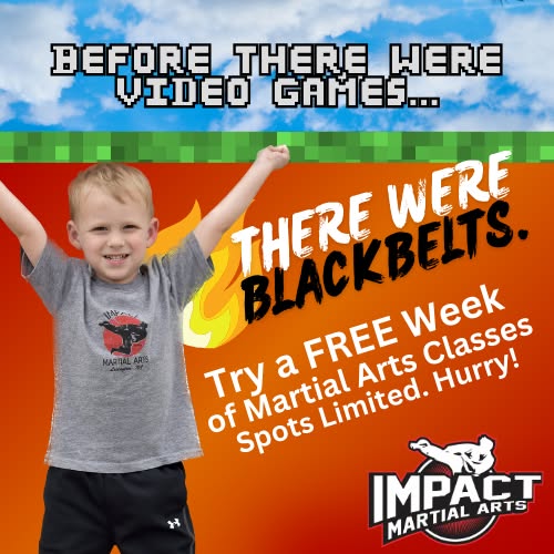 Impact Martial Arts Academy Facebook ad