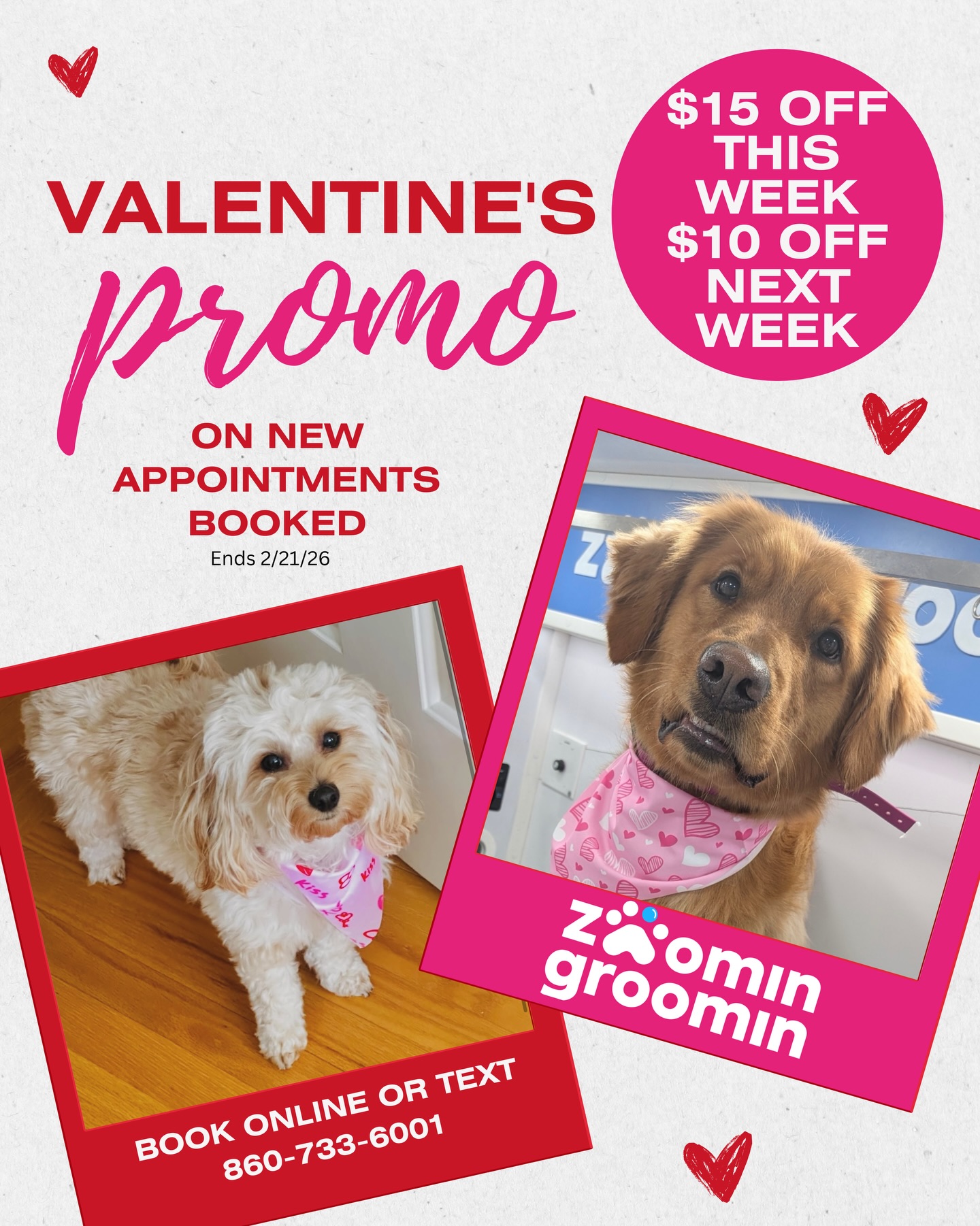 Zoomin Groomin - West Hartford, CT Facebook ad: Online booking - Zoomin Groomin West Hartford