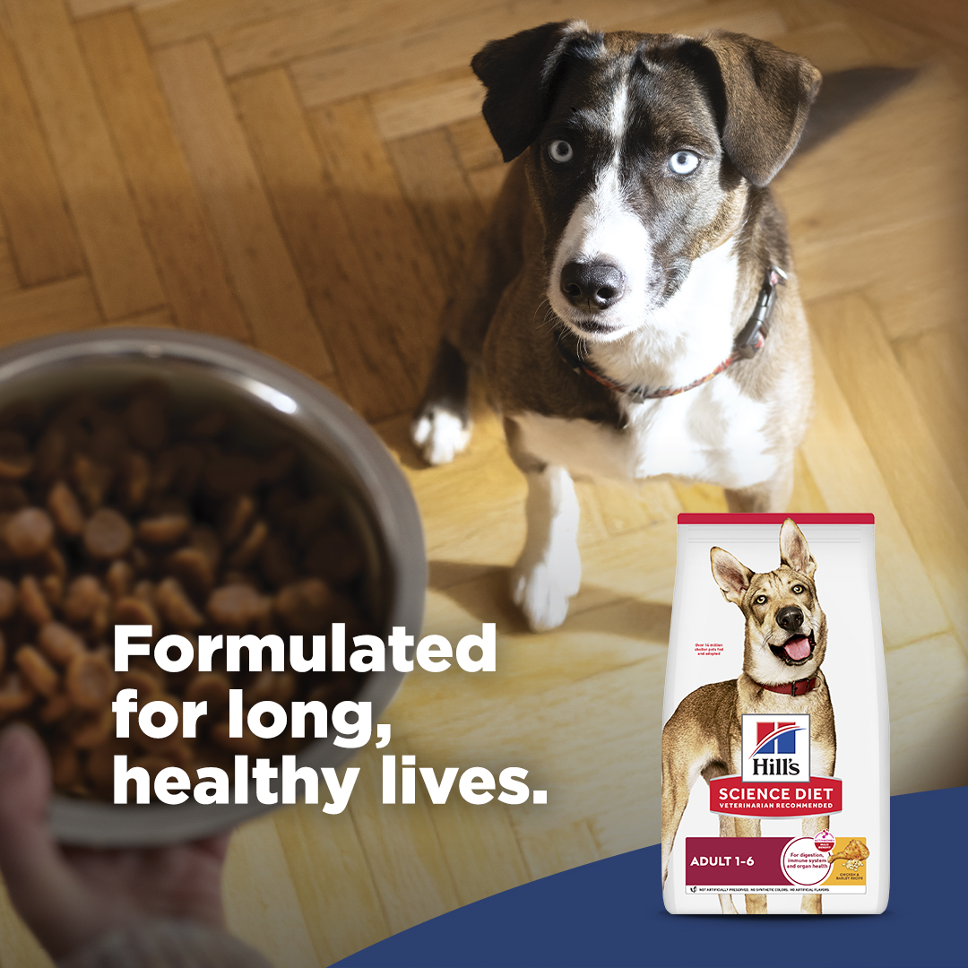 Hill’s Pet Nutrition Facebook ad