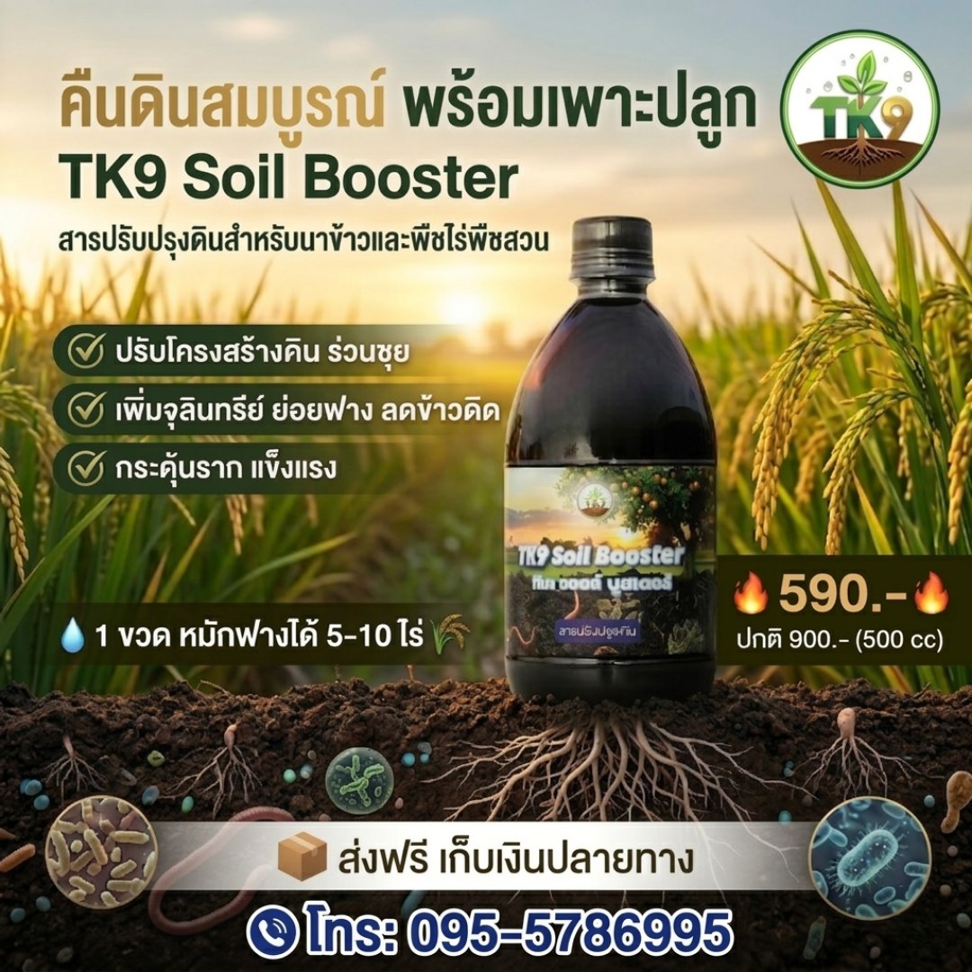 Tk9 นวัตกรรมสารสกัด เพิ่มผลผลิต เร่งโต เสริมสร้างภูมิคุ้มกันพืชในขวดเดียว Facebook ad: นาหลังเก็บเกี่ยว. ปัญหาที่ตามมาประจำคือ ตอซัง…