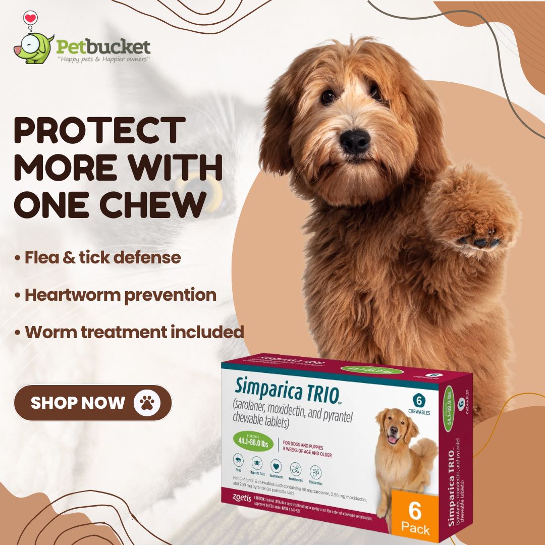 Pet Bucket Facebook ad