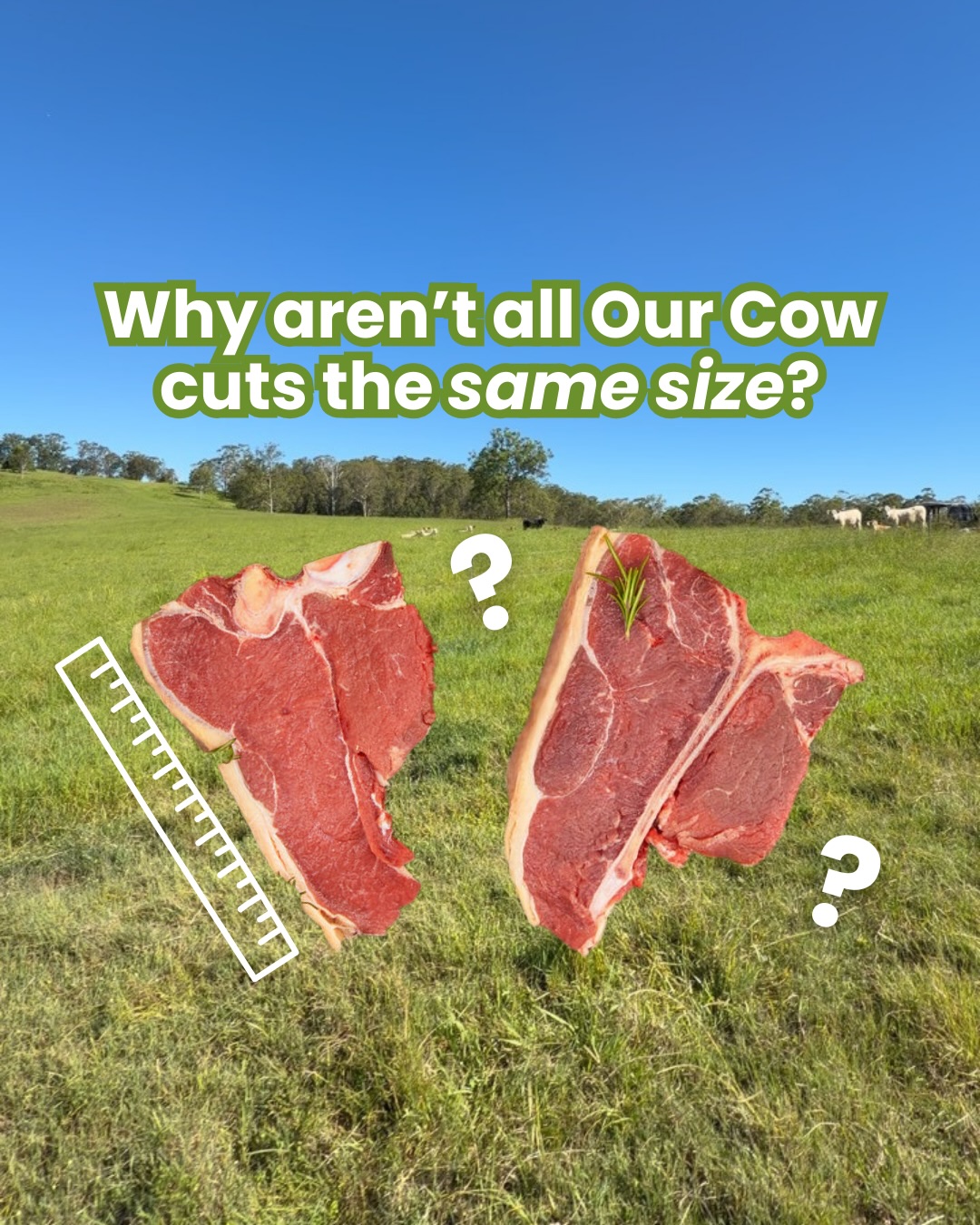 Our Cow Facebook ad