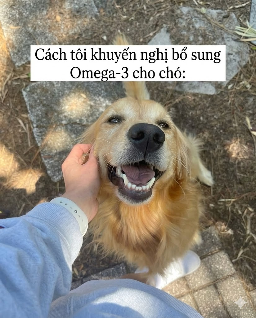 LOPE - Love Pet, Lope Care Facebook ad