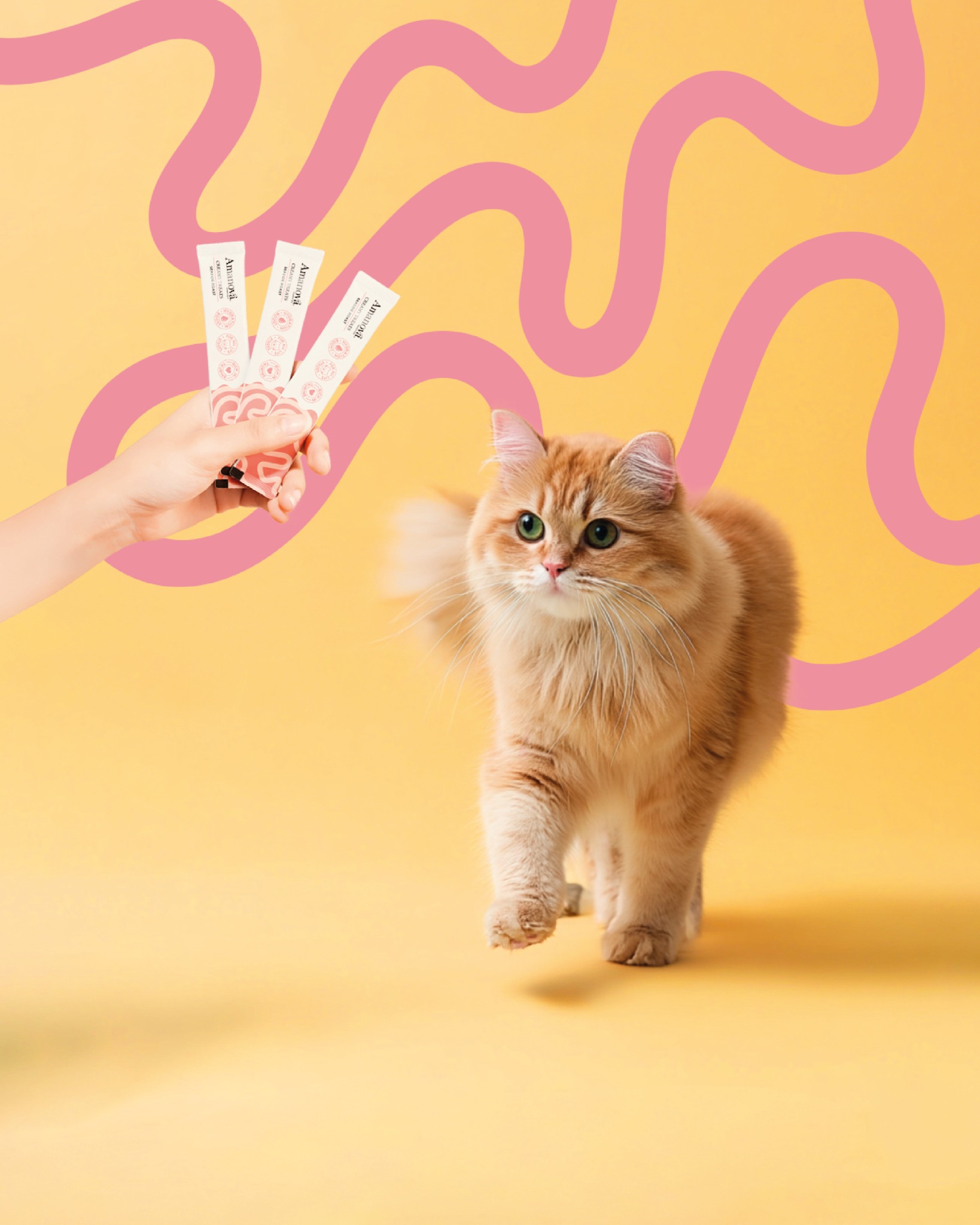 Amanova Pet Food Facebook ad