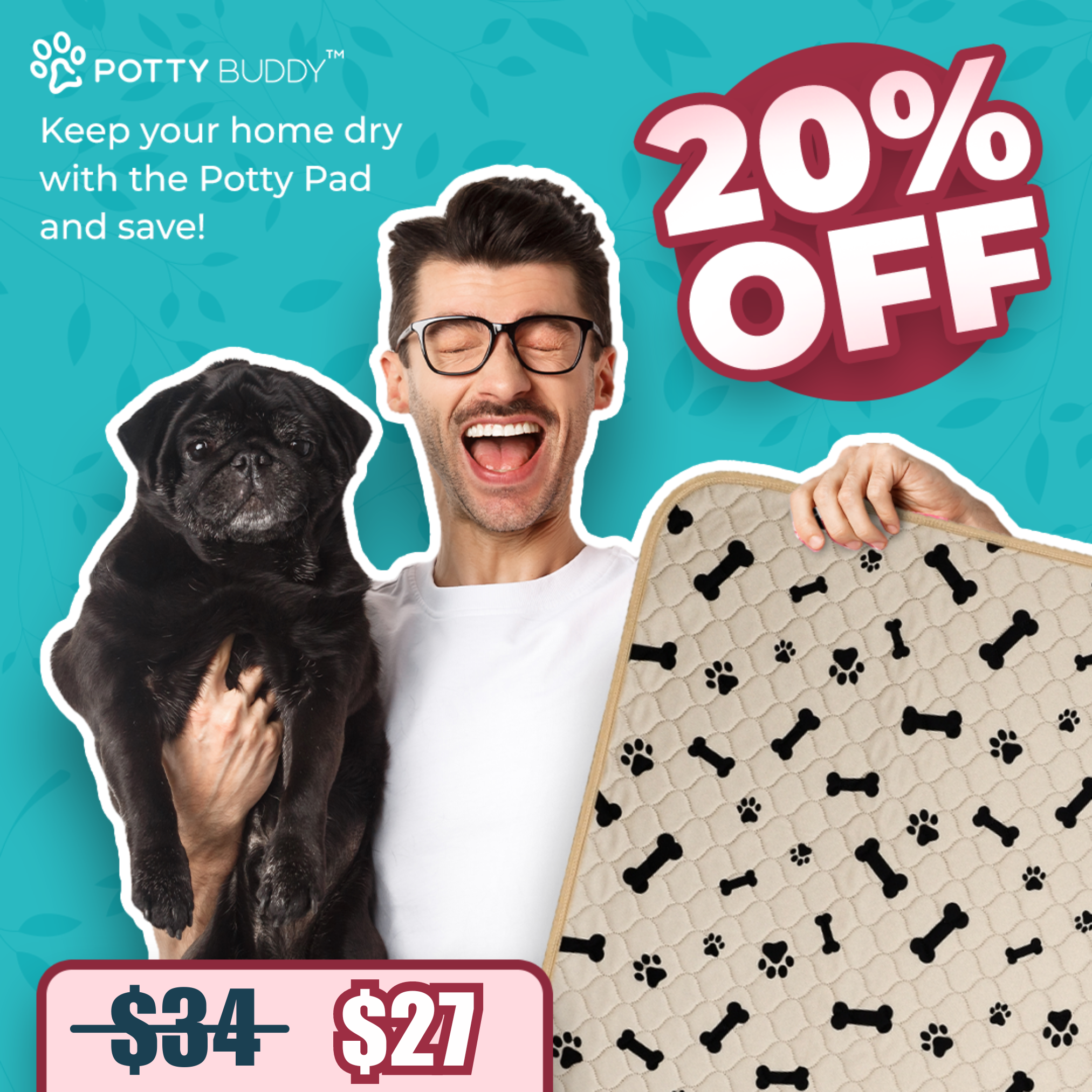 Potty Buddy Facebook ad