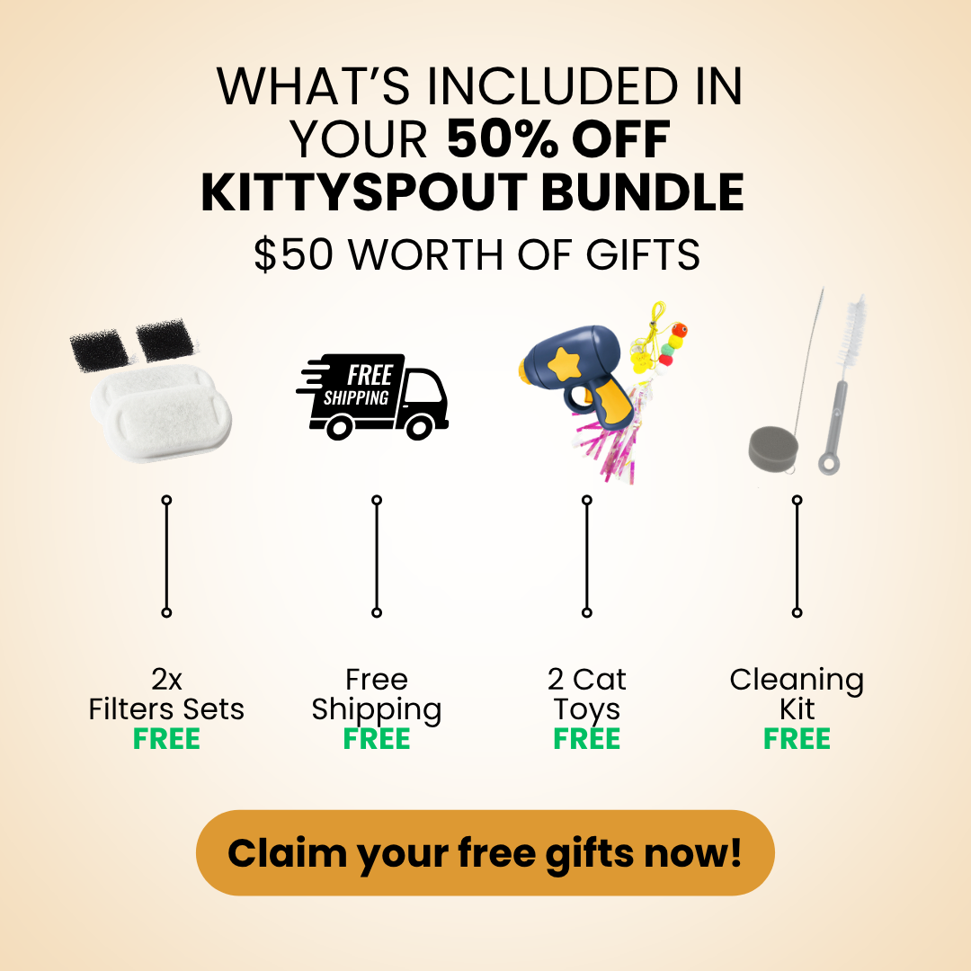KittySpout Facebook ad