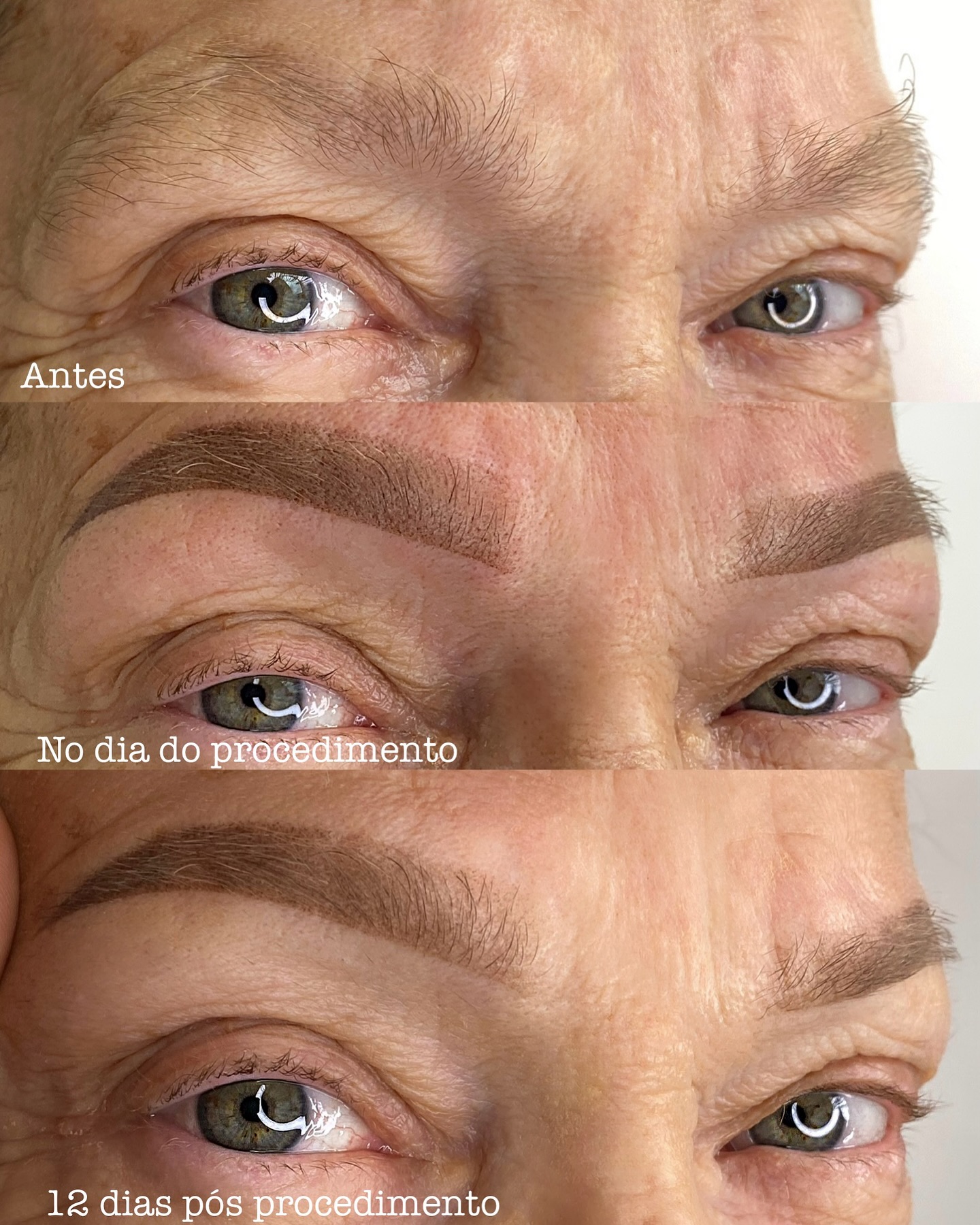 Sobrancelha Expert Facebook ad: MICROPIGMENTAÇÃO 12 DIAS PÓS PROCEDIMENTO.