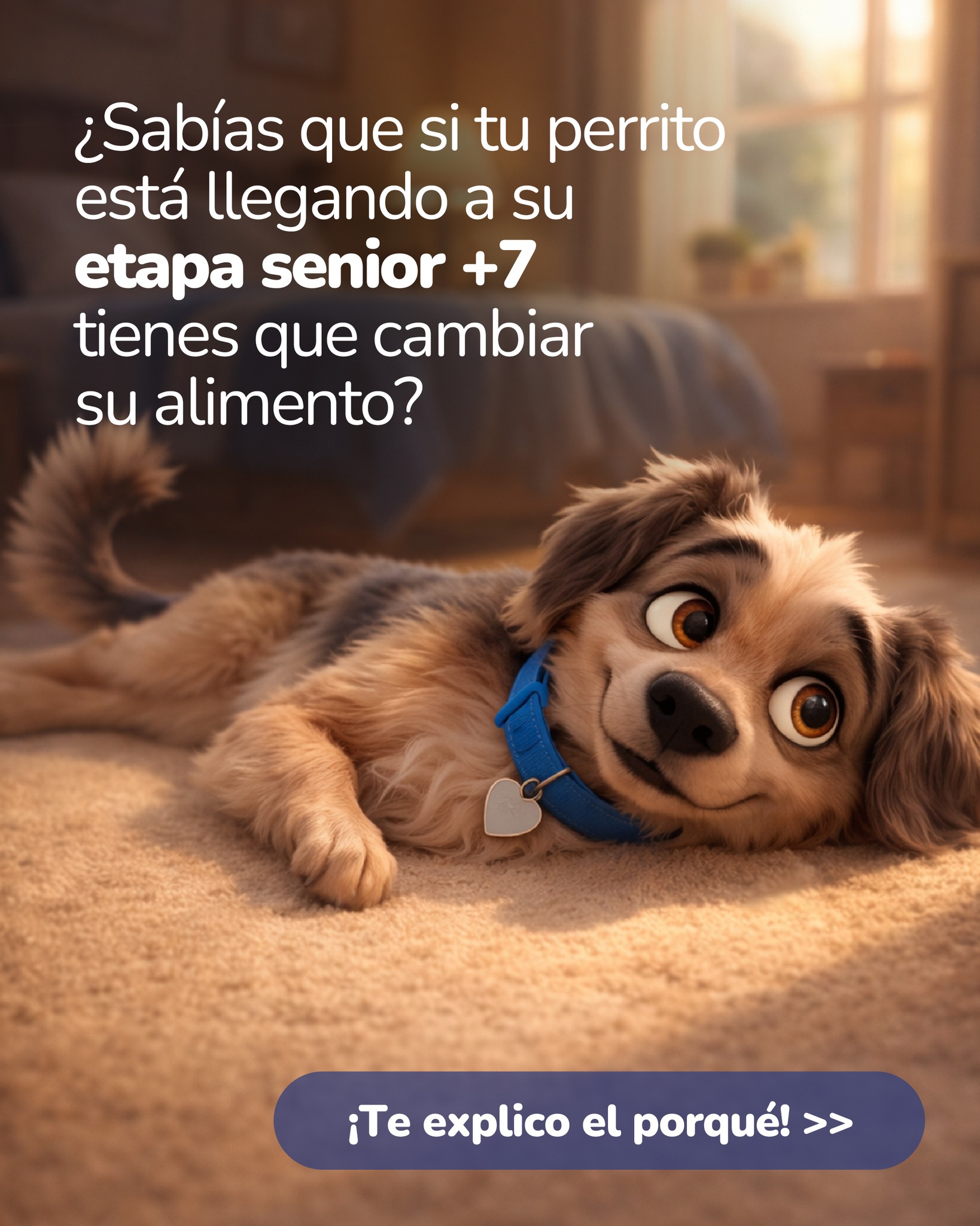 Championdogads Facebook ad: Junto a Mika, sabemos que tu perrito y…