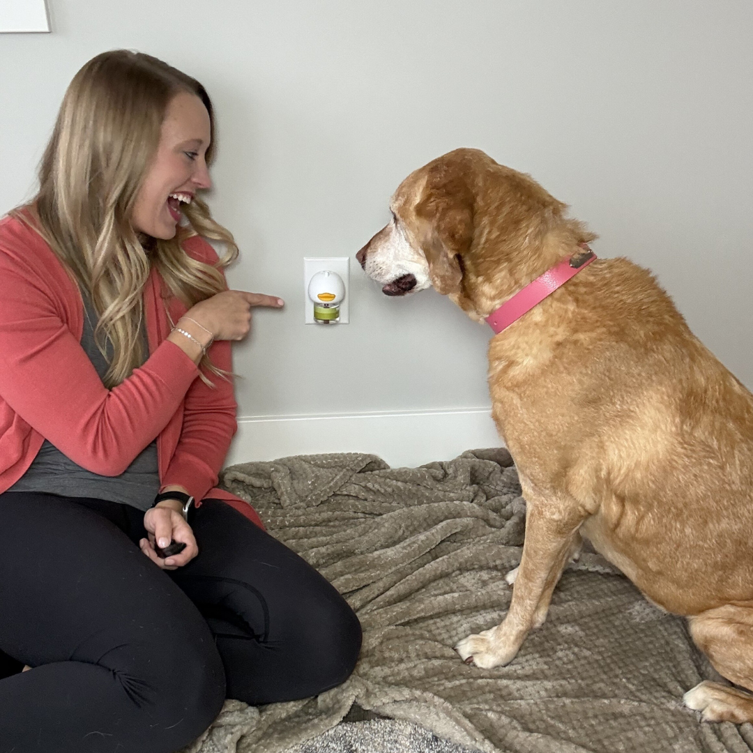 TheraPet Facebook ad