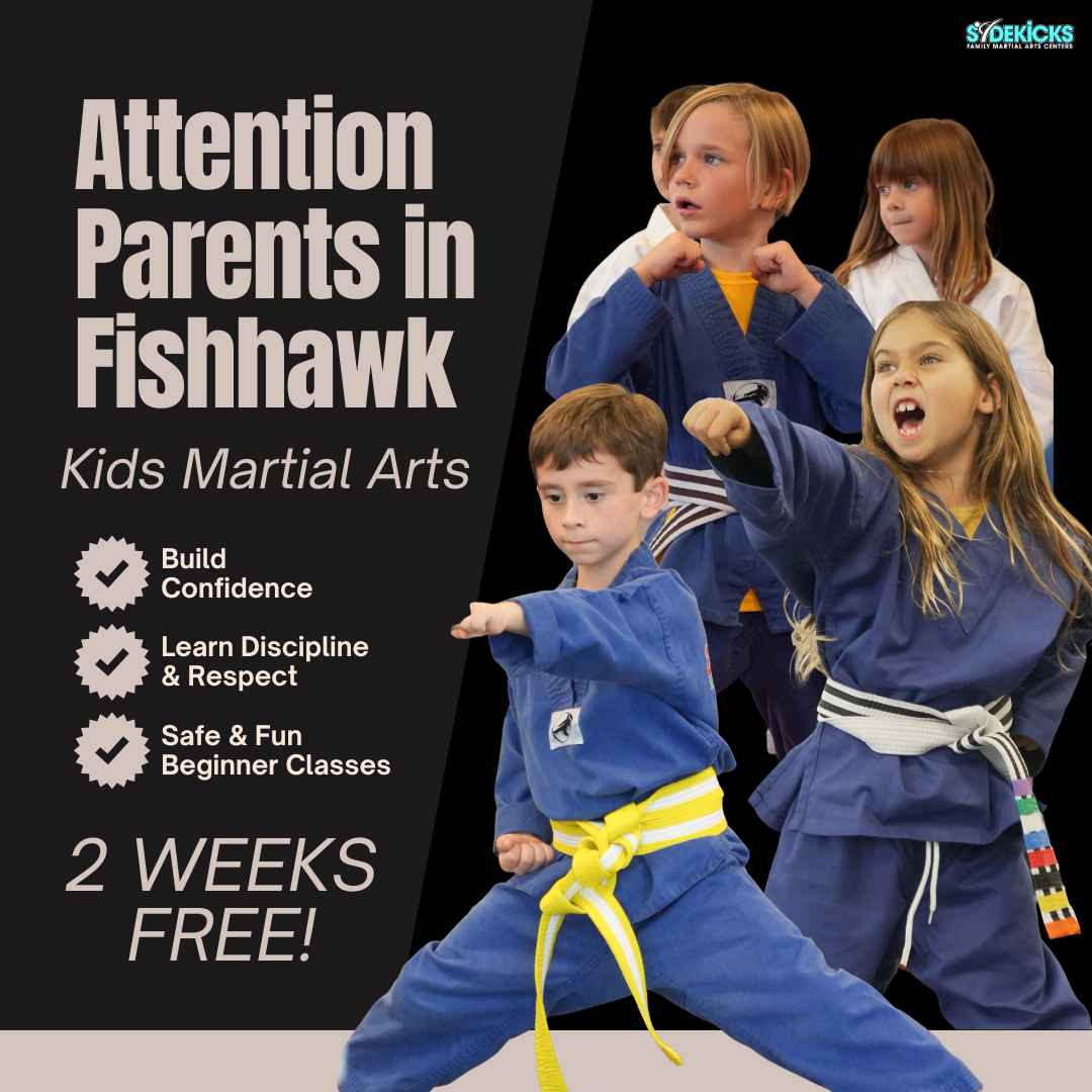 Sidekicks Family Martial Arts Center Facebook ad