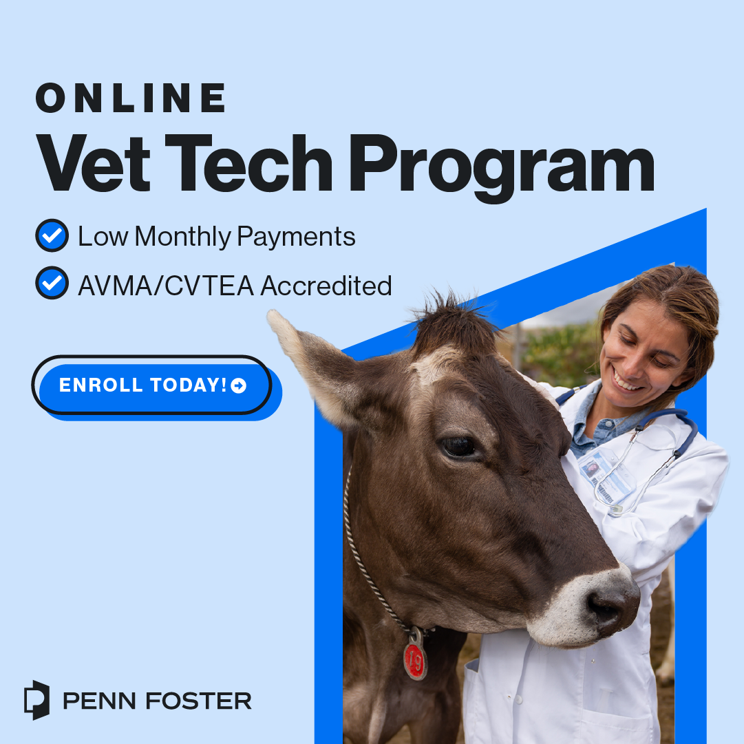Penn Foster Facebook ad