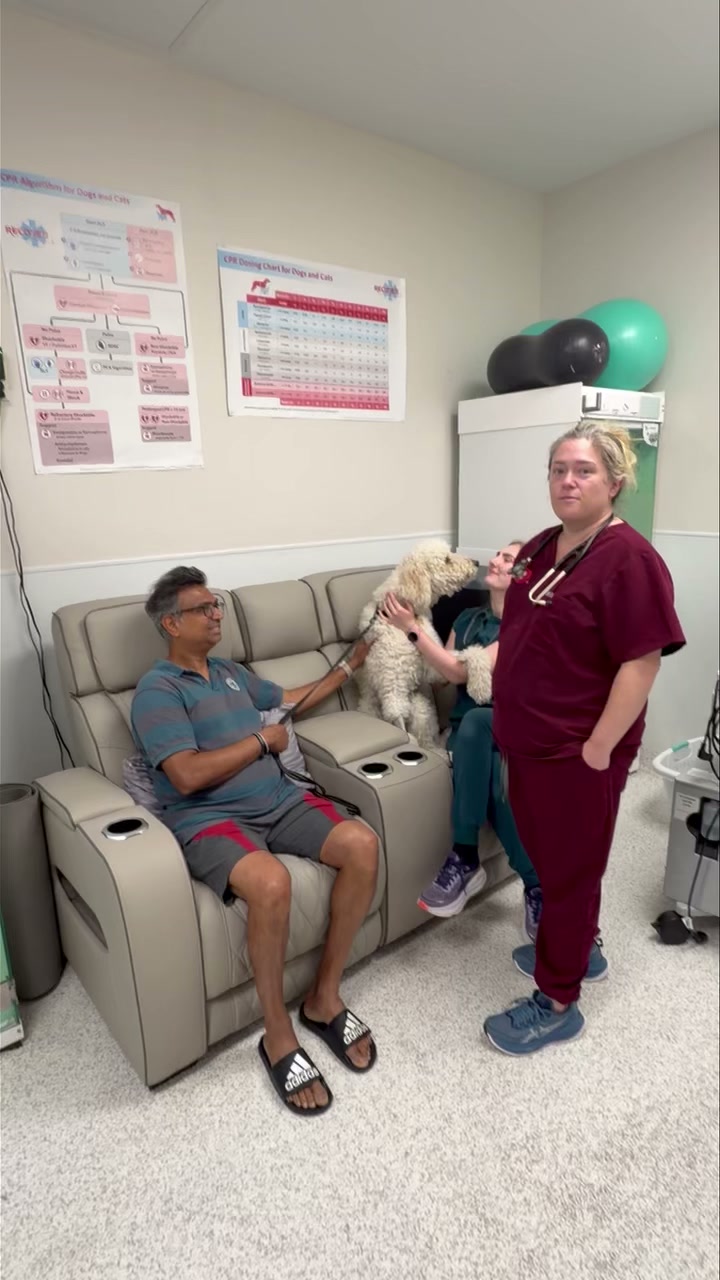 Revive Veterinary Emergency & Specialty Hospital Facebook ad: Simba's Life-Saving Emergency at Revive Veterinary…